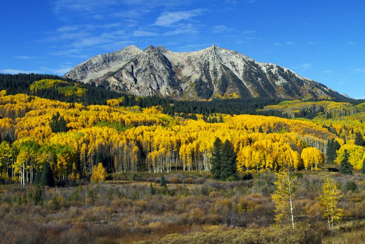 Fall at Kebler Pass Colorado